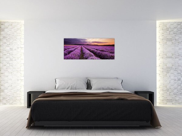 Tablou - Câmp de lavandă la apus de soare (120x50 cm)