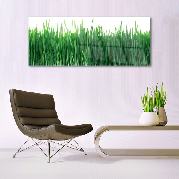 Tablou pe sticla Weed Natura verde