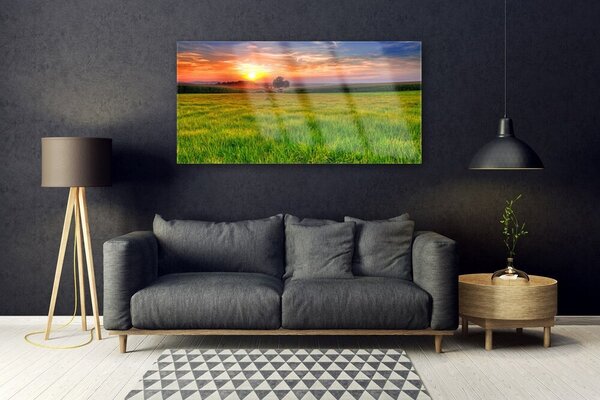 Tablou pe sticla Meadow Sun Natura Verde Galben Violet