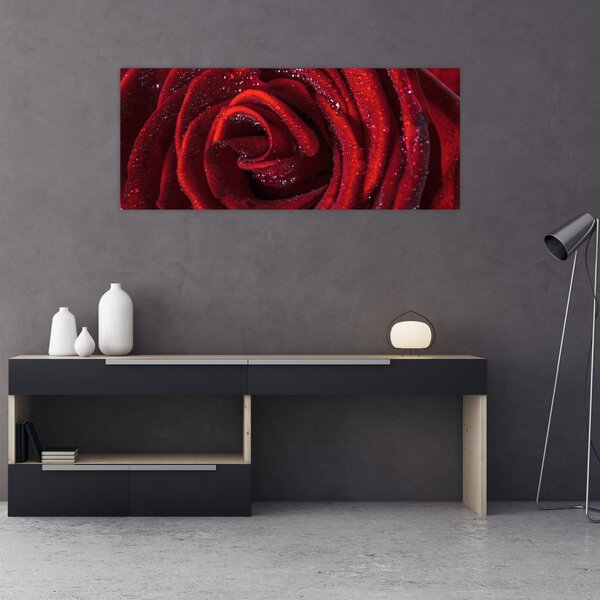 Tablou - Trandafir roșu cu picături de rouă (120x50 cm)