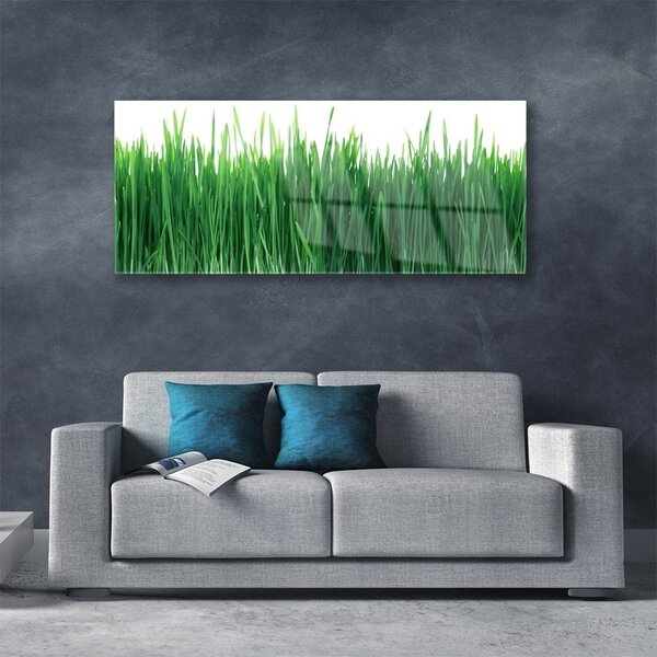 Tablou pe sticla Weed Natura verde
