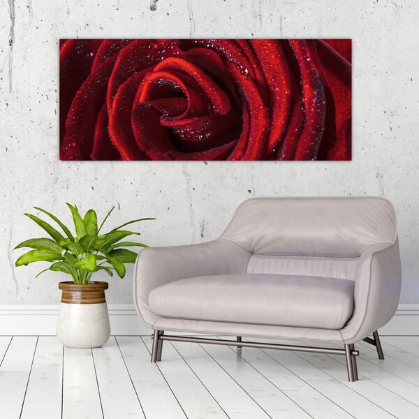 Tablou - Trandafir roșu cu picături de rouă (120x50 cm)