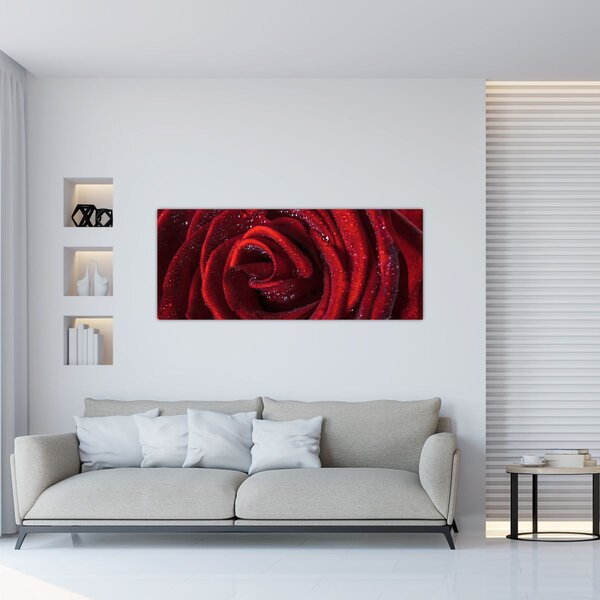Tablou - Trandafir roșu cu picături de rouă (120x50 cm)