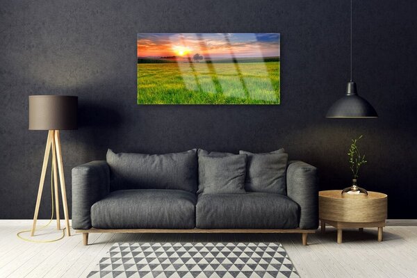 Tablou pe sticla Meadow Sun Natura Verde Galben Violet