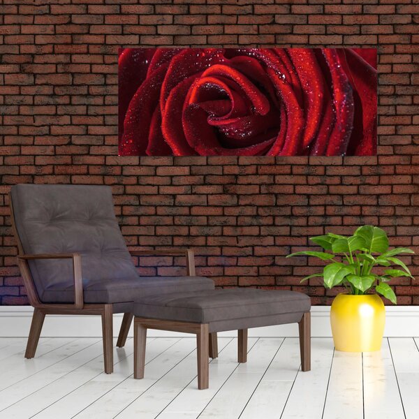 Tablou - Trandafir roșu cu picături de rouă (120x50 cm)