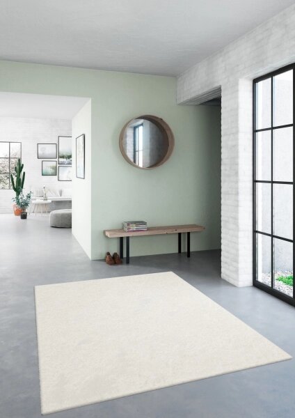 Covor Belgian din Microfibra, Lavabil, Fir moale, Crem 120 x 170