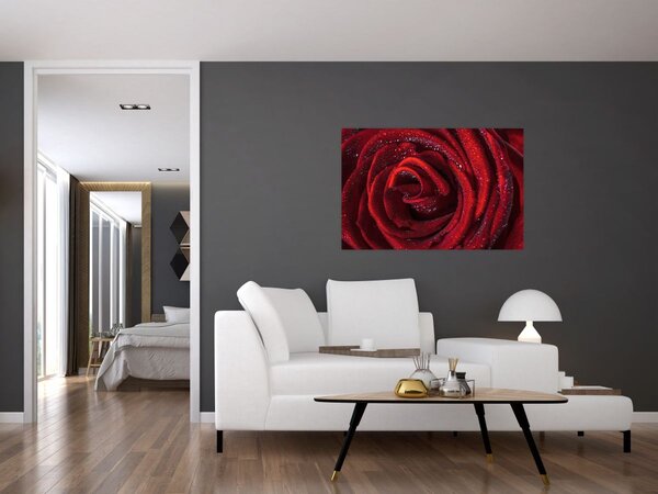 Tablou - Trandafir roșu cu picături de rouă (90x60 cm)