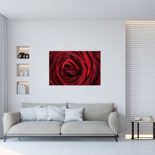 Tablou - Trandafir roșu cu picături de rouă (90x60 cm)