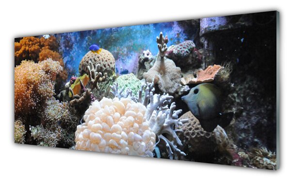 Tablou pe sticla Coral Reef Natura Gri Alb Galben