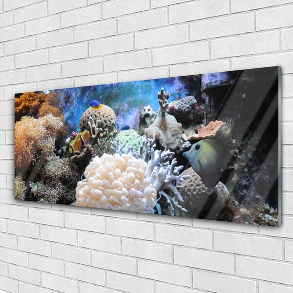 Tablou pe sticla Coral Reef Natura Gri Alb Galben