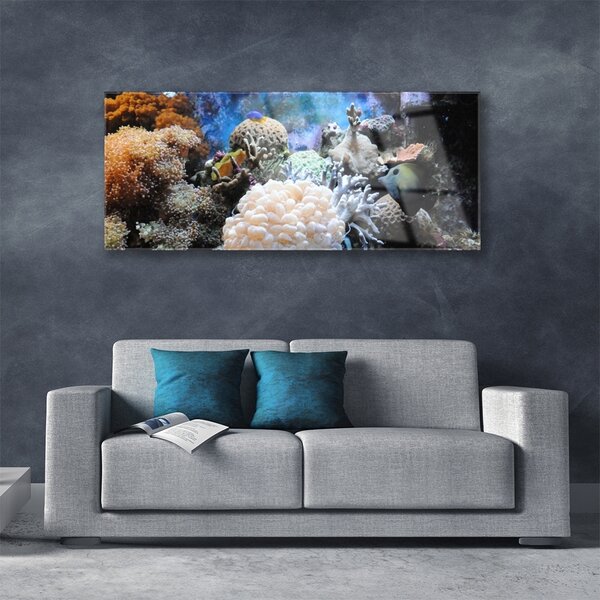 Tablou pe sticla Coral Reef Natura Gri Alb Galben