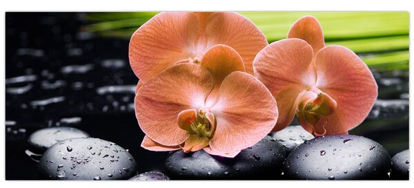 Tablou - Orhidee portocalie cu frunze de palmier (120x50 cm)