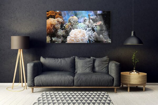 Tablou pe sticla Coral Reef Natura Gri Alb Galben