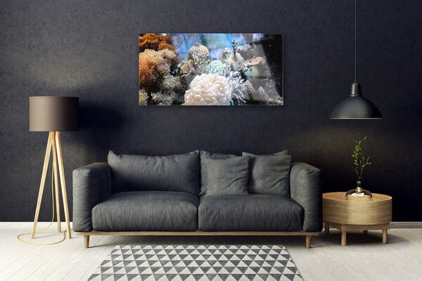 Tablou pe sticla Coral Reef Natura Gri Alb Galben