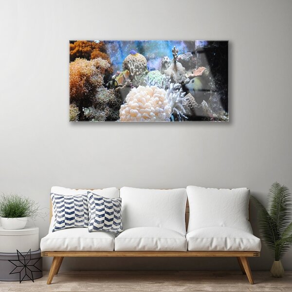 Tablou pe sticla Coral Reef Natura Gri Alb Galben