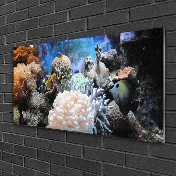 Tablou pe sticla Coral Reef Natura Gri Alb Galben