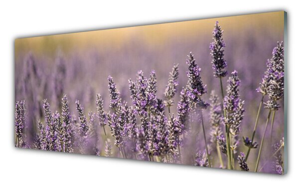 Tablou pe sticla Flori Floral violet
