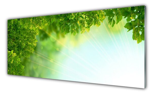 Tablou pe sticla Frunze Natura verde