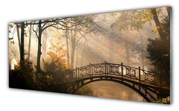 Tablou pe sticla Forest Podul Arhitectura Brun Verde