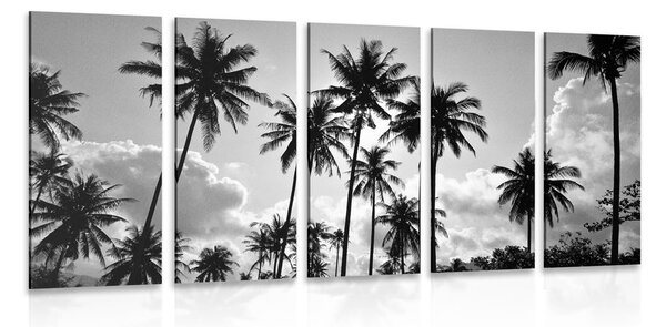 Tablou 5-piese palmieri de cocos pe plajă în design alb-negru