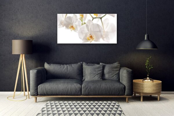 Tablou pe sticla Flori Floral alb