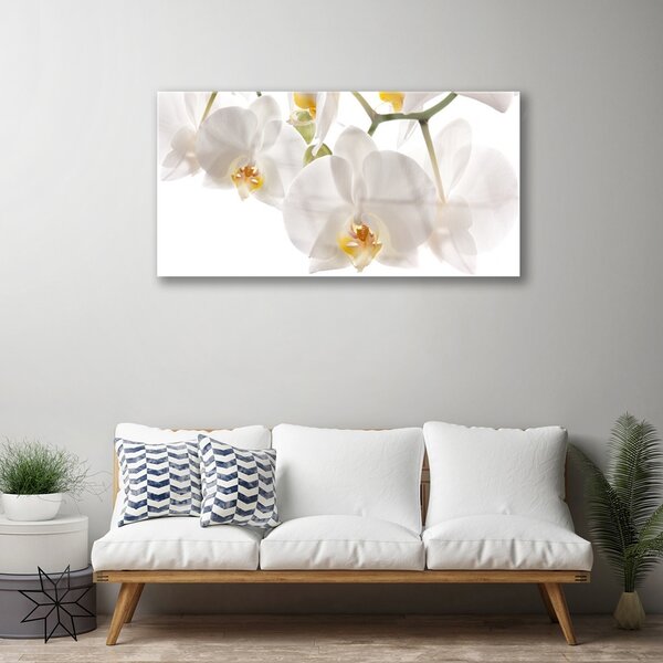 Tablou pe sticla Flori Floral alb