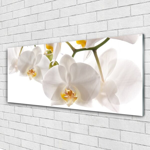 Tablou pe sticla Flori Floral alb