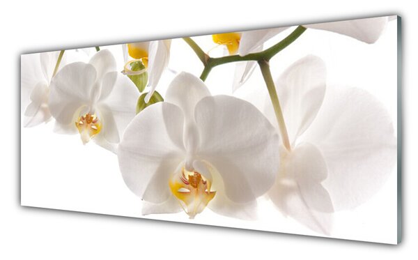 Tablou pe sticla Flori Floral alb
