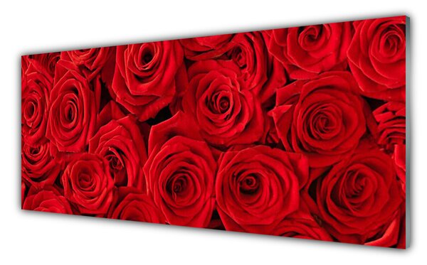 Tablou pe sticla Trandafiri Floral Red