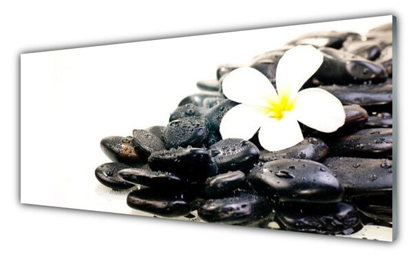 Tablou pe sticla Pietrele de flori Arta Alb Negru