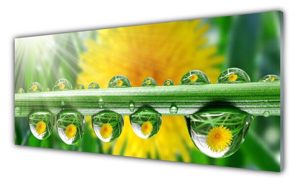 Panou sticla bucatarie Stem Picături de rouă Floral Verde