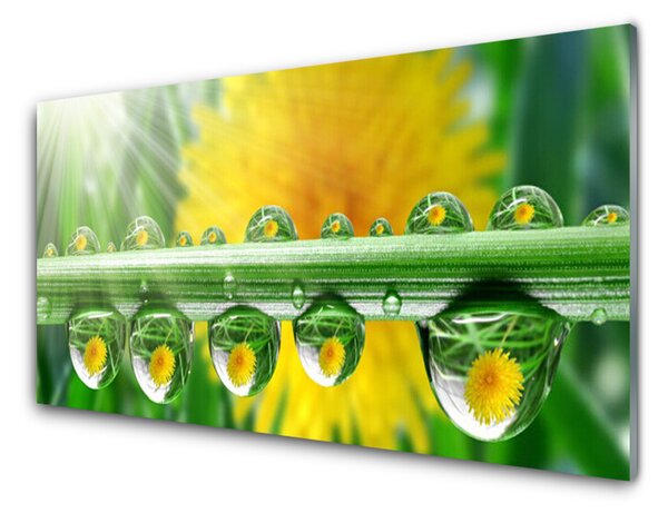 Panou sticla bucatarie Stem Picături de rouă Floral Verde