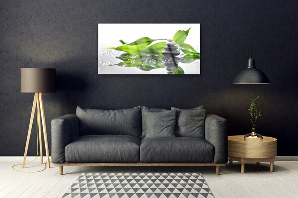 Tablou pe sticla Pietre Frunze Arta Negru Verde