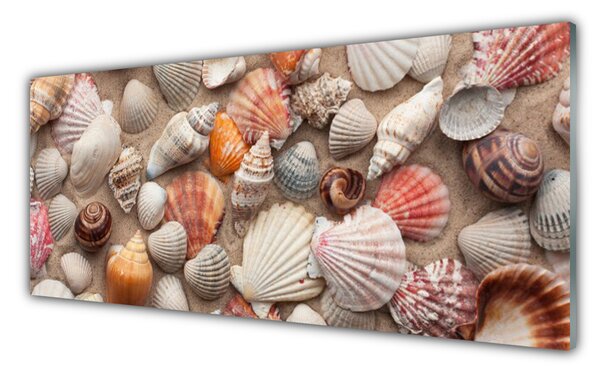Panou sticla bucatarie Cochilii Art Alb Gri Maro Bej