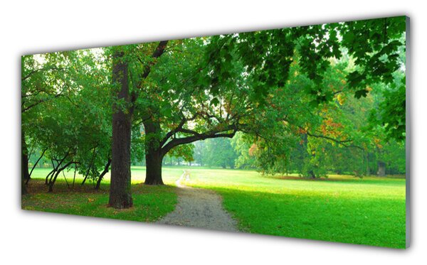 Tablou pe sticla Poteca Copaci Natura Brun Verde