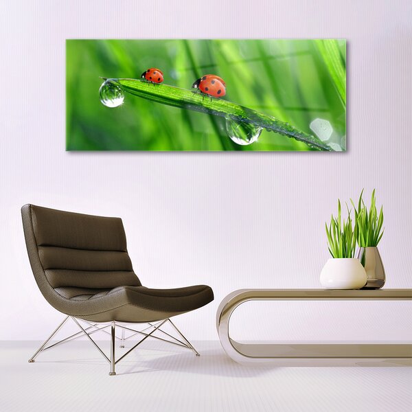Tablou pe sticla Ladybird Beetle Floral Verde Roșu Negru