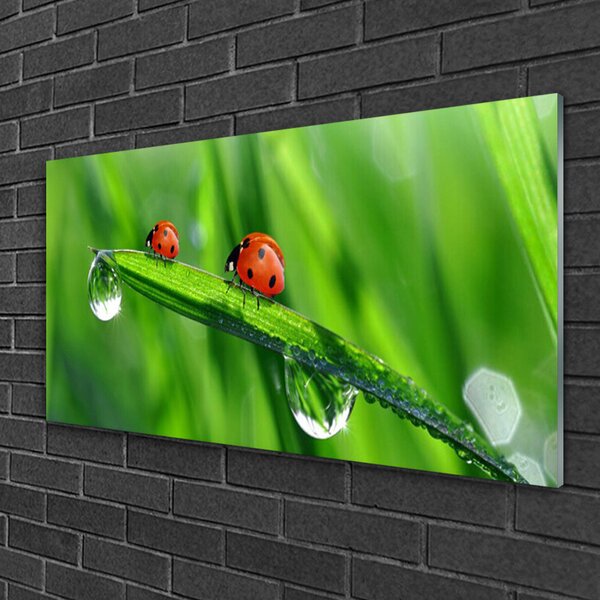Tablou pe sticla Ladybird Beetle Floral Verde Roșu Negru