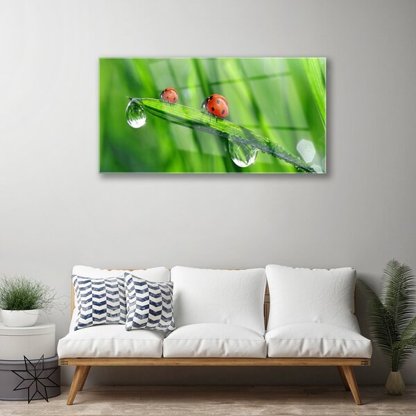 Tablou pe sticla Ladybird Beetle Floral Verde Roșu Negru