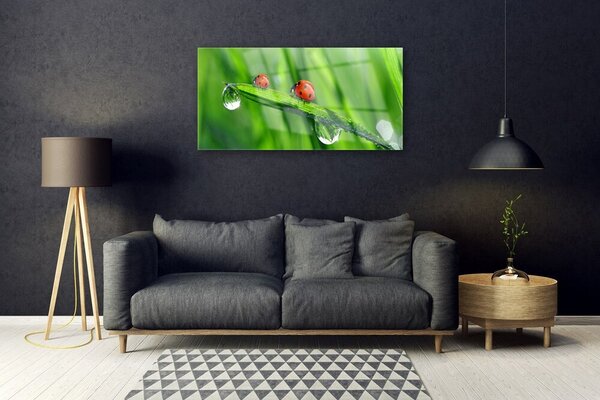 Tablou pe sticla Ladybird Beetle Floral Verde Roșu Negru