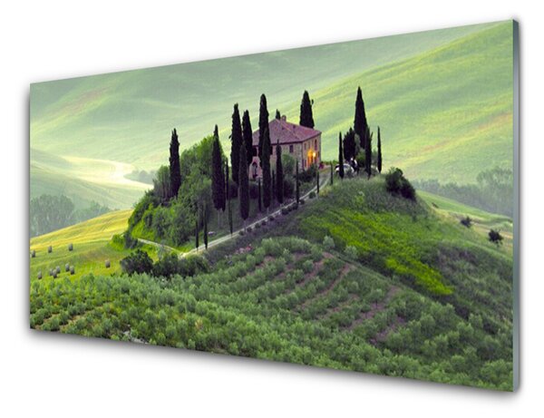 Panou sticla bucatarie Meadow Copaci Natura verde