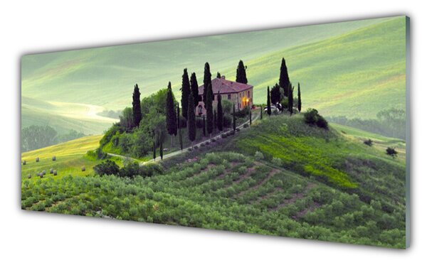 Panou sticla bucatarie Meadow Copaci Natura verde