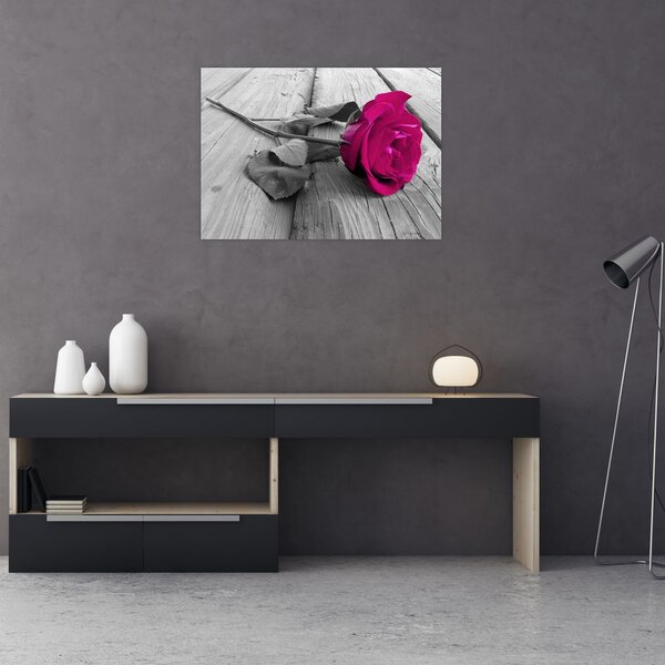 Tablou - Trandafir roz (70x50 cm)