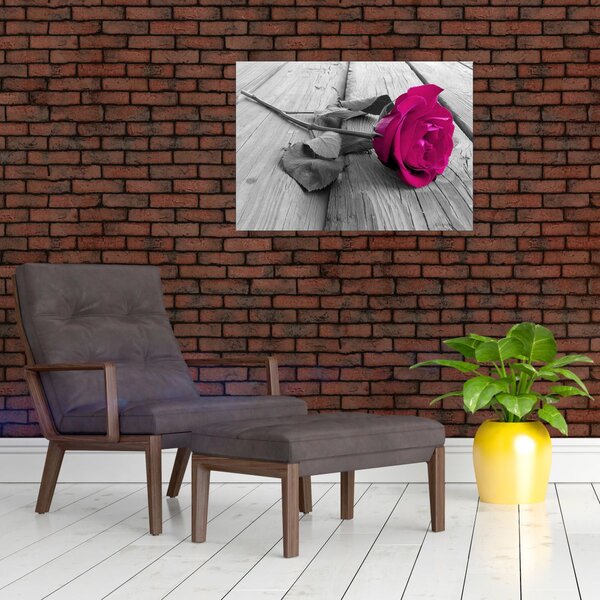 Tablou - Trandafir roz (70x50 cm)