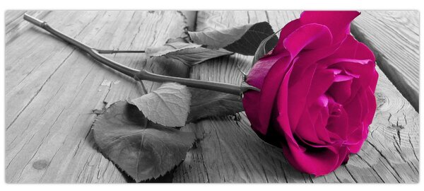 Tablou - Trandafir roz (120x50 cm)