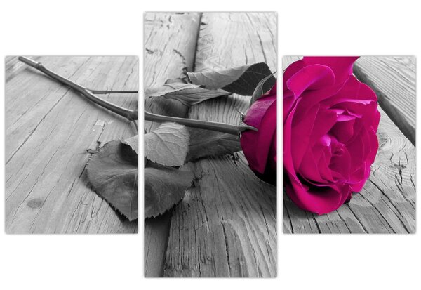 Tablou - Trandafir roz (90x60 cm)