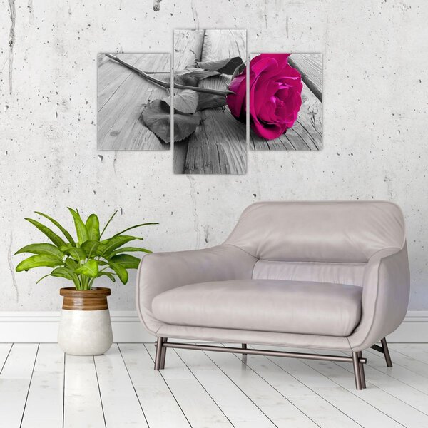 Tablou - Trandafir roz (90x60 cm)
