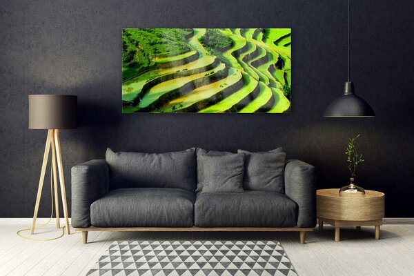 Tablou pe sticla Pădurea Verde Natura