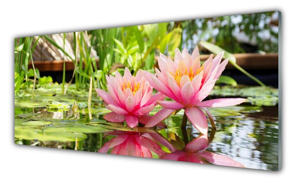Tablou pe sticla Flori roz Floral