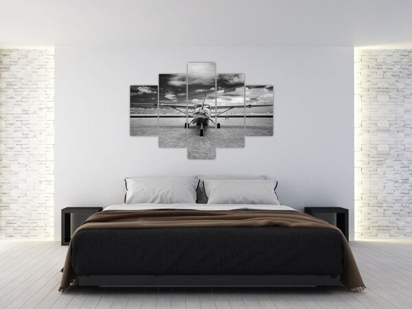 Tablou - Avion alb-negru și alb-negru (150x105 cm)