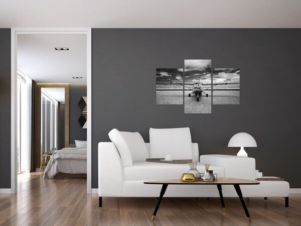Tablou - Avion alb-negru și alb-negru (90x60 cm)